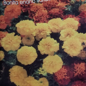 COPETE Bonita Enano variado