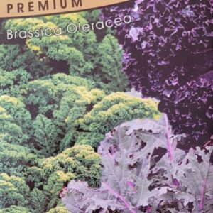 MIX KALES Brassica Oleracea