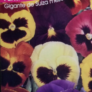 PENSAMIENTO Gigante de Suiza mez.