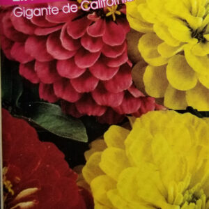 ZINNIA Gigante de California Alta var