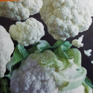 COLIFLOR SNOWBALL Bola de Nieve