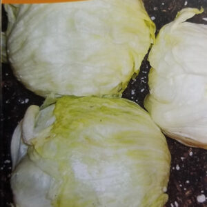 LECHUGA BATAVIA Capuchina