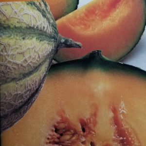 MELON ESCRITO CON PULPA Smon.