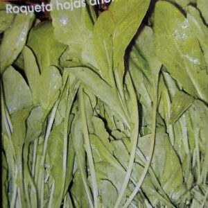 RUCULA (ORUGA) Roqueta